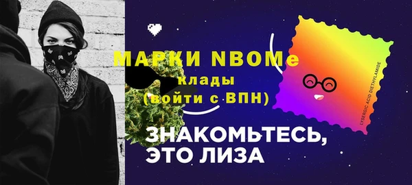 шишки Баксан