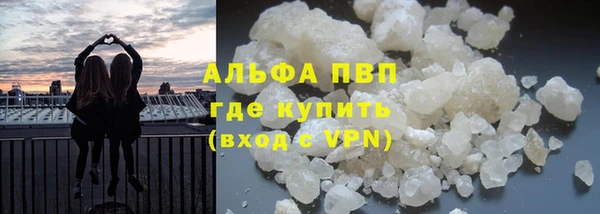 шишки Баксан