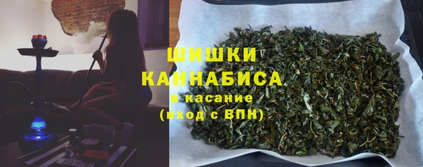 шишки Баксан