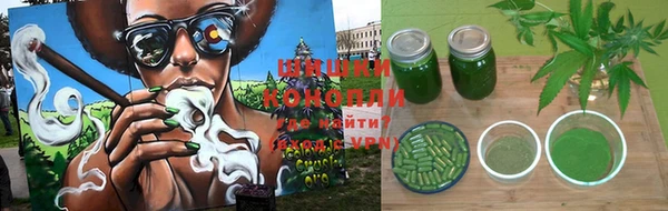 шишки Баксан