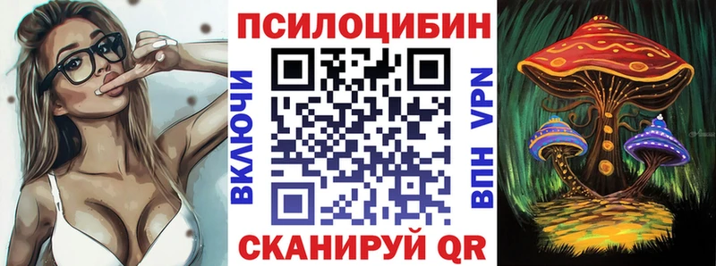 где купить наркотик  Тайшет  Галлюциногенные грибы MAGIC MUSHROOMS 